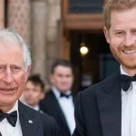 Prince Harry’s Nonverbal Communication Offers Insight into Meeting with King Charles, According to Expert