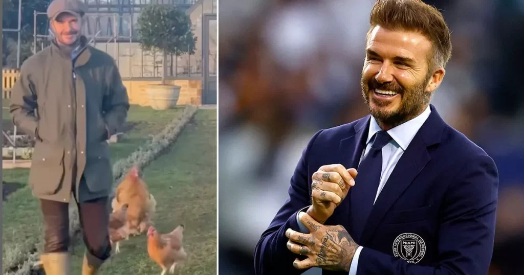 David Beckham Relaxing by Making Honey and Tending Chickens – Daily Star