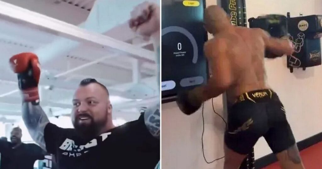 Eddie Hall Breaks UFC Champion’s Punch Force Record – Daily Star