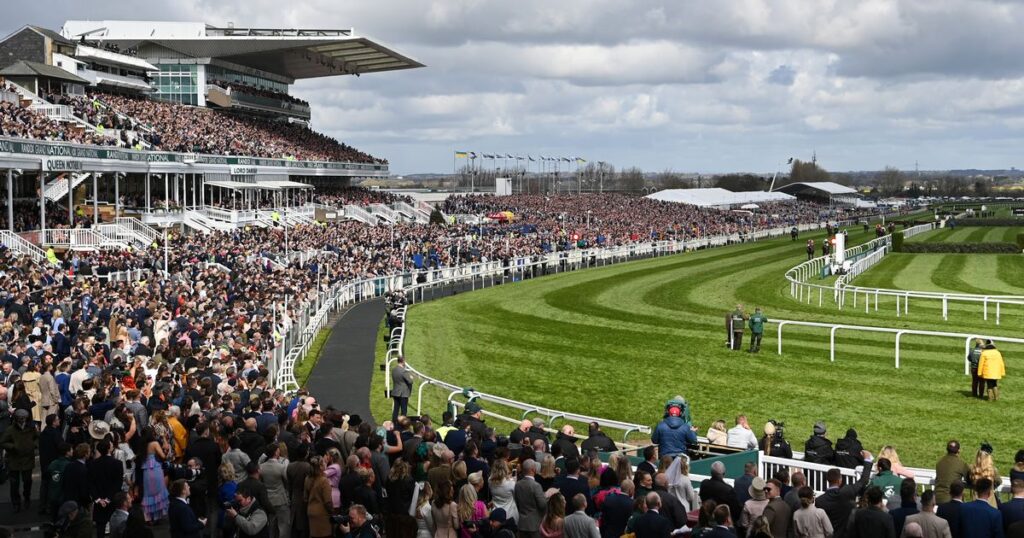 Grand National 2023: Experts name Limerick Lace as frontrunner in big race – Daily Star