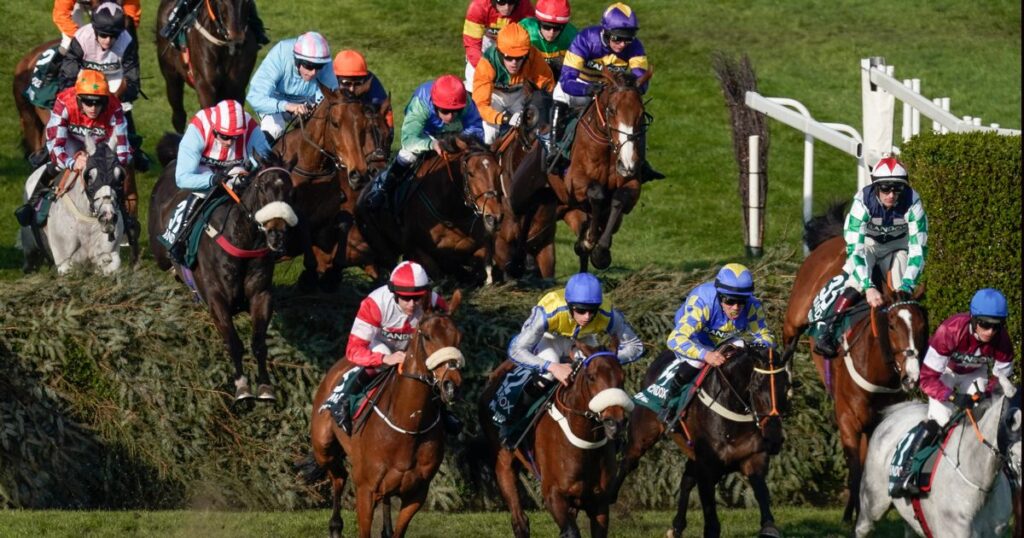 Download Grand National 2024 sweepstake kit for your friends for free from Daily Star.
