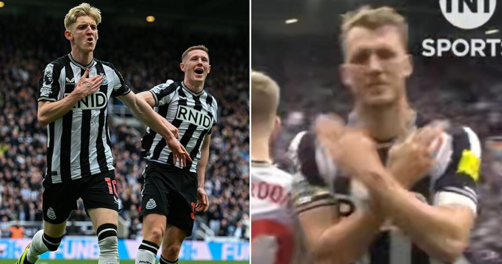 Dan Burns’ “wholesome celebration” for Newcastle vs Spurs leaves fans in tears – Daily Star