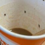 Woman’s Life in Danger after Consuming Bug-Infested Coffee from Airport – Daily Star