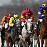 Tragic death of Grand National festival horse Giovinco during Ladies Day race at Aintree – Daily Star