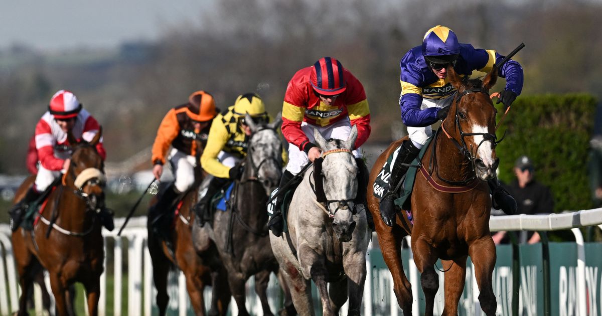 Tragic death of Grand National festival horse Giovinco during Ladies Day race at Aintree – Daily Star