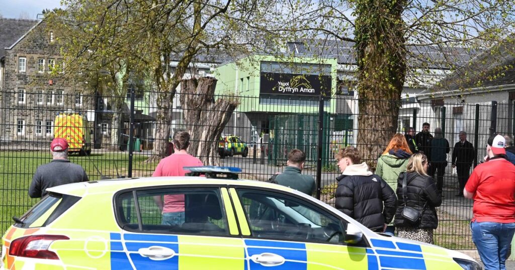 Teenage girl accused of three attempted murder charges following incident at Ammanford school_MetaData Star